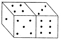 HBSE 7th Class Maths Solutions Chapter 15 Visualising Solid Shapes Ex 15.1 3