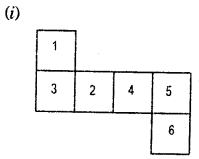 HBSE 7th Class Maths Solutions Chapter 15 Visualising Solid Shapes Ex 15.1 5