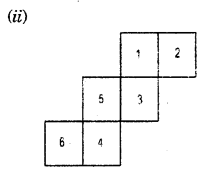 HBSE 7th Class Maths Solutions Chapter 15 Visualising Solid Shapes Ex 15.1 6