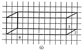 HBSE 7th Class Maths Solutions Chapter 15 Visualising Solid Shapes Ex 15.2 1