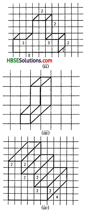 HBSE 7th Class Maths Solutions Chapter 15 Visualising Solid Shapes Ex 15.2 2
