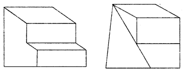 HBSE 7th Class Maths Solutions Chapter 15 Visualising Solid Shapes Ex 15.2 4