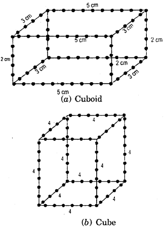 HBSE 7th Class Maths Solutions Chapter 15 Visualising Solid Shapes Ex 15.2 6
