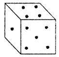 HBSE 7th Class Maths Solutions Chapter 15 Visualising Solid Shapes Ex 15.3 1