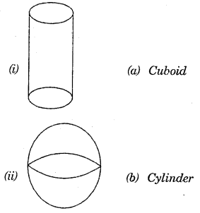 HBSE 7th Class Maths Solutions Chapter 15 Visualising Solid Shapes InText Questions 1