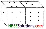 HBSE 7th Class Maths Solutions Chapter 15 Visualising Solid Shapes InText Questions 11