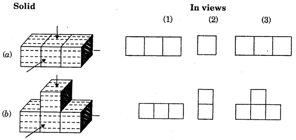 HBSE 7th Class Maths Solutions Chapter 15 Visualising Solid Shapes InText Questions 13