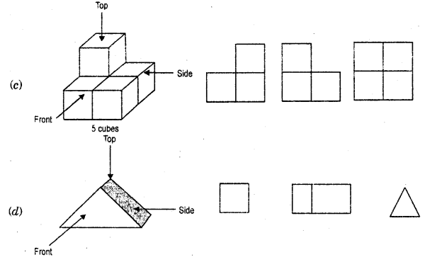 HBSE 7th Class Maths Solutions Chapter 15 Visualising Solid Shapes InText Questions 14