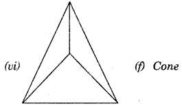 HBSE 7th Class Maths Solutions Chapter 15 Visualising Solid Shapes InText Questions 3