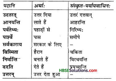 HBSE 7th Class Sanskrit Solutions Ruchira Chapter 14 अनारिकायाः जिज्ञासा -6