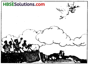 HBSE 7th Class Sanskrit Solutions Ruchira Chapter 2 दुर्बुद्धिः विनश्यति-3