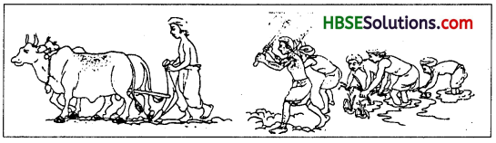 HBSE 7th Class Sanskrit Solutions Ruchira Chapter 3 स्वावलम्बनम्-4