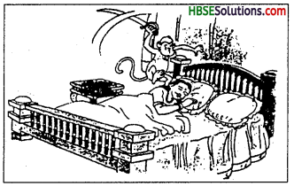 HBSE 7th Class Sanskrit Solutions Ruchira Chapter 4 हास्यबालकविसम्मेलनम्-1