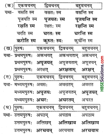 HBSE 7th Class Sanskrit Solutions Ruchira Chapter 7 सड.कल्पः सिद्धिदायकः-3