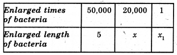 HBSE 8th Class Maths Solutions Chapter 13 Direct and Inverse Proportions Ex 13.1 10