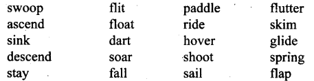 HBSE 10th Class English Solutions First Flight Chapter 3 Two Stories about Flying 1