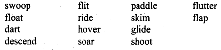 HBSE 10th Class English Solutions First Flight Chapter 3 Two Stories about Flying 2