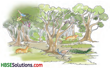 HBSE 8th Class Sanskrit Solutions Ruchira Chapter 13 क्षितौ राजते भारतस्वर्णभूमिः - 5
