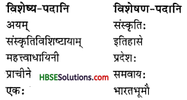 HBSE 8th Class Sanskrit Solutions Ruchira Chapter 9 सप्तभगिन्यः - 5