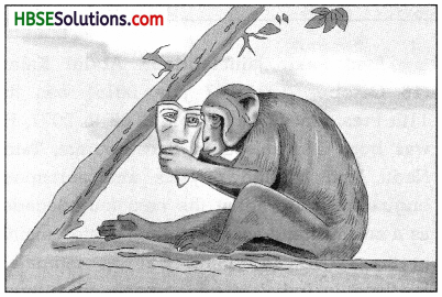 HBSE 9th Class English Solutions Beehive Chapter 5 The Snake and the Mirror -1