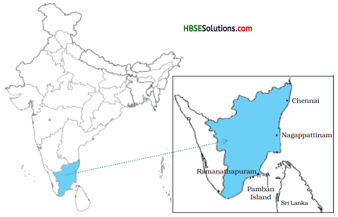 HBSE 9th Class English Solutions Beehive Chapter 6 My Childhood -1