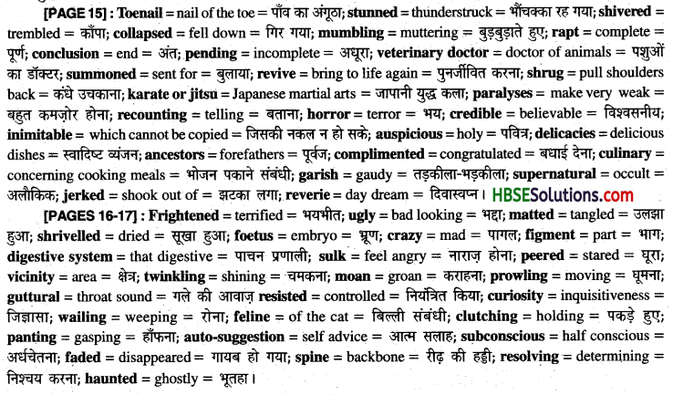 HBSE 9th Class English Solutions Moments Chapter 3 Iswaran the Storyteller-2