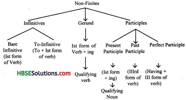 HBSE 10th Class English Grammar Non-Finites -1
