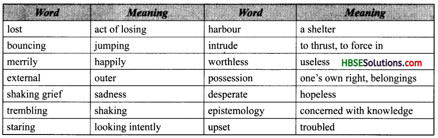 HBSE 10th Class English Solutions First Flight Poem 5 The Ball Poem 1