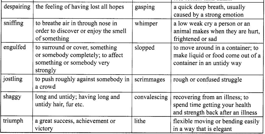 HBSE 10th Class English Solutions Footprints without Feet Chapter 1 A Triumph of Surgery 3