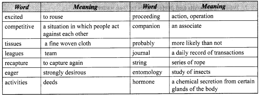 HBSE 10th Class English Solutions Footprints without Feet Chapter 6 The Making of a Scientist 1