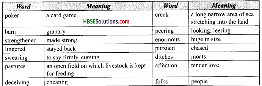 HBSE 10th Class English Solutions Footprints without Feet Chapter 8 The Hack Driver 1
