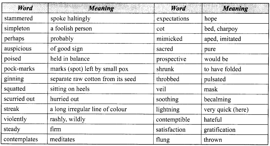 HBSE 10th Class English Solutions Footprints without Feet Chapter 9 Bholi 1